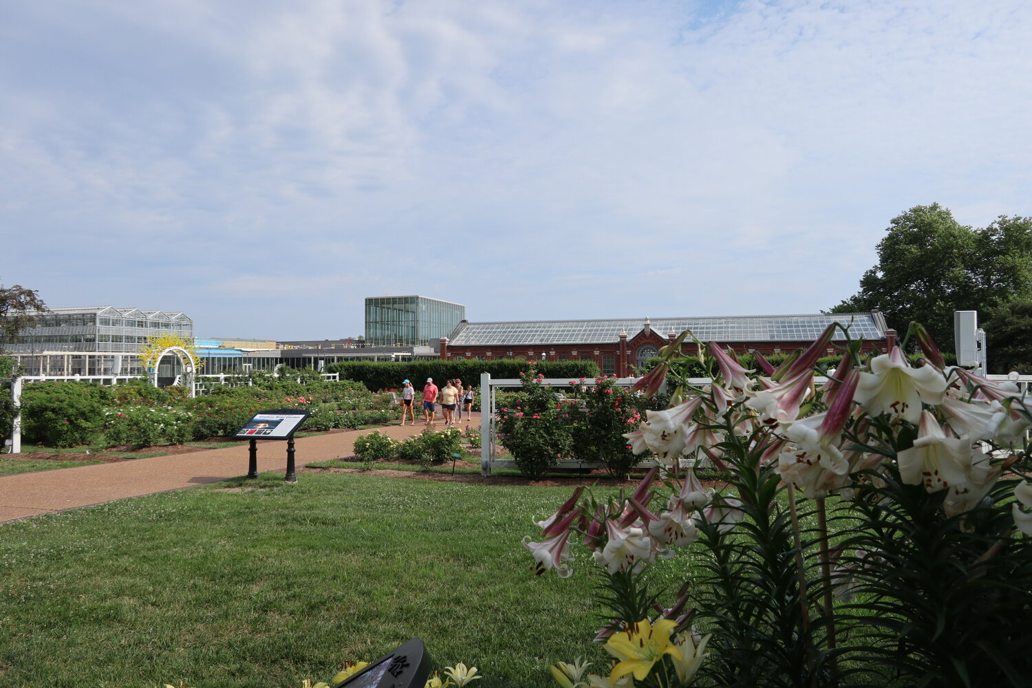 Missouri Botanical Garden (2022年6月撮影)