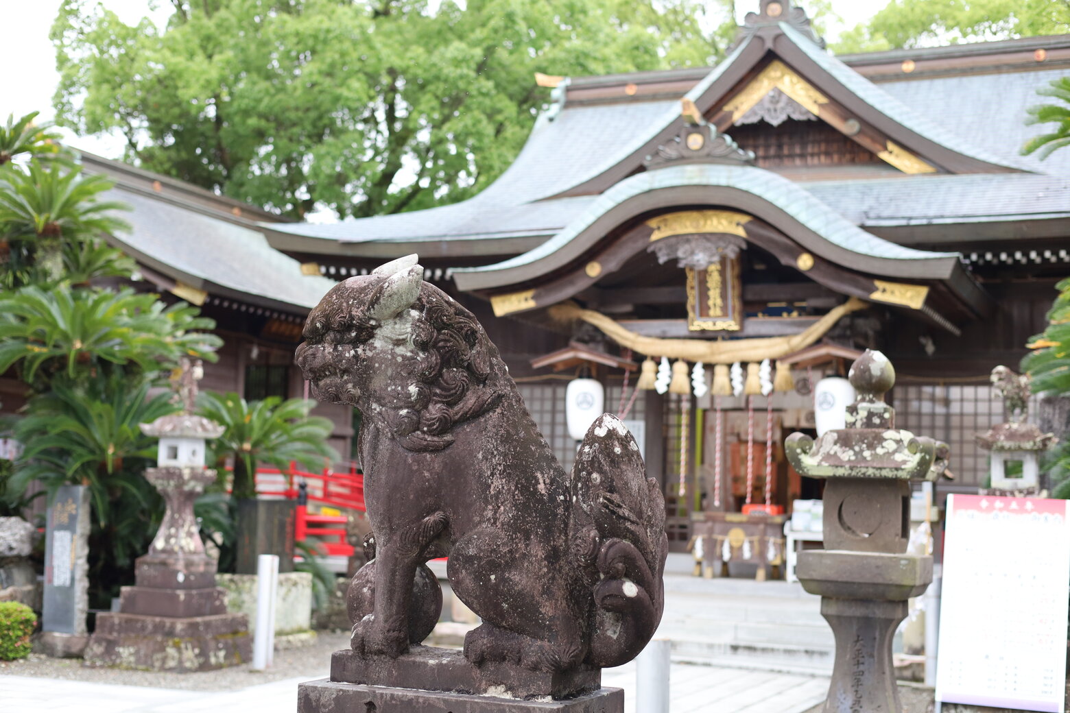本渡諏訪神社(の狛犬)
