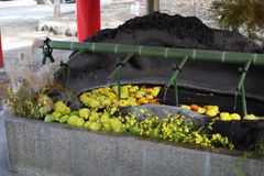 春日神社の手水舎