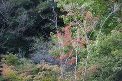 稲積水中鍾乳洞の外