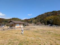道の駅宮地岳かかしの里
