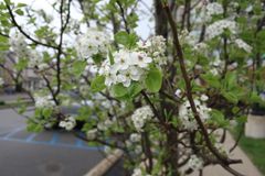 ホテル周辺の風景 (1)