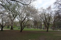 Boston Common (3)