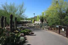 Desert Botanical Garden (2)