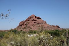 Desert Botanical Garden (11)