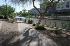 Arizona Canalとさりげなくいるサボテン