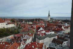 塔からの旧市街の様子 (4)