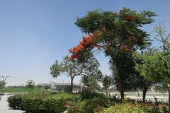 Crescent Park (North)