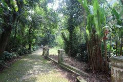 Kebun Raya Bogor (2)