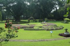 Kebun Raya Bogor (7)