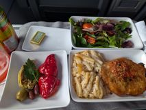 二便目の機内食 (AA) (1)