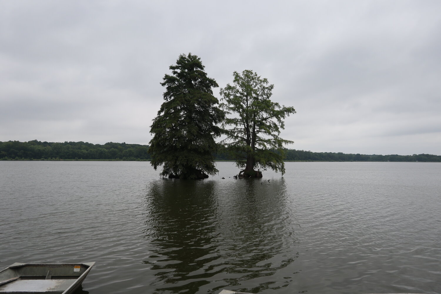 Lake 33@August A. Busch Memorial Conservation Area (2022年8月撮影)