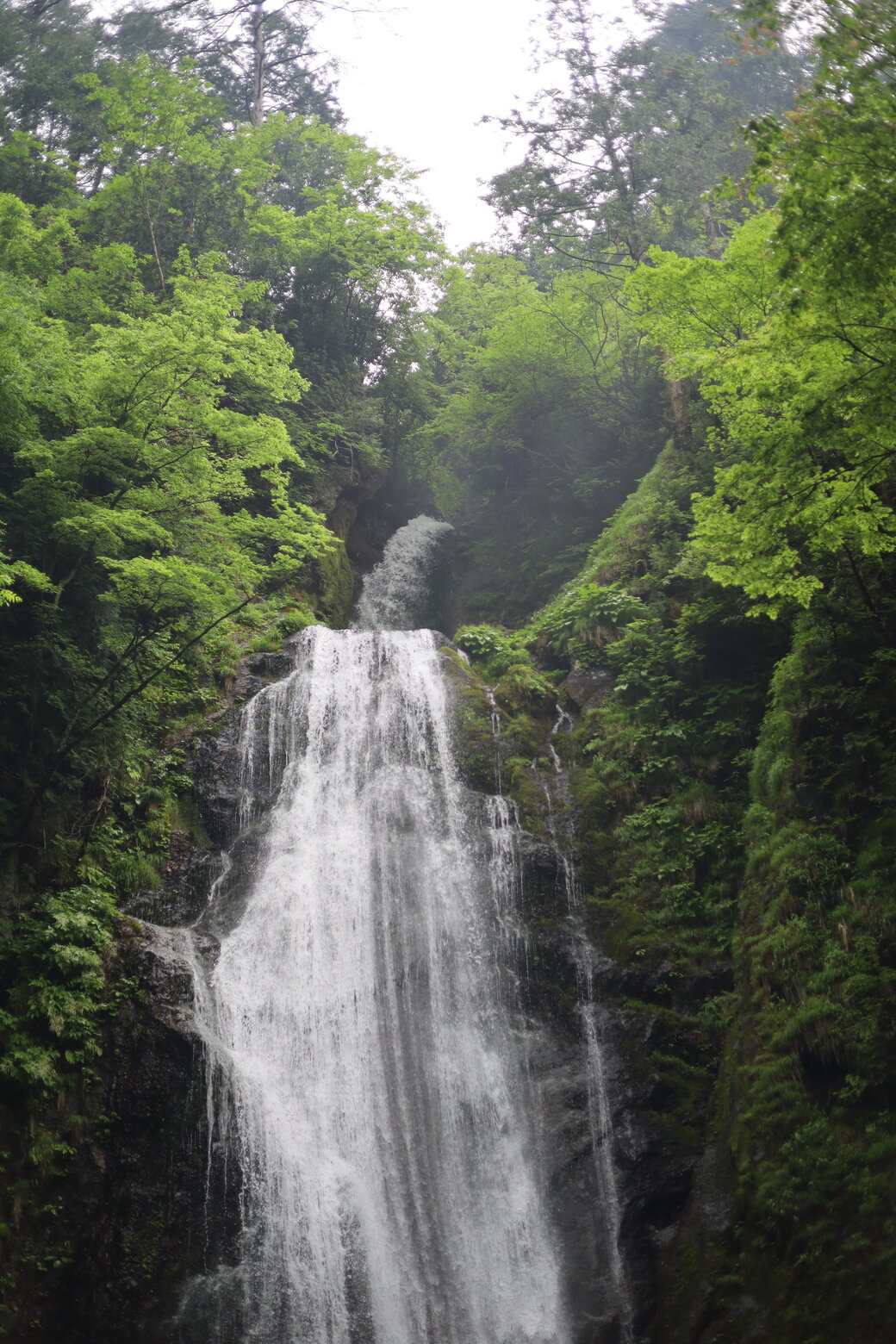 回顧の滝