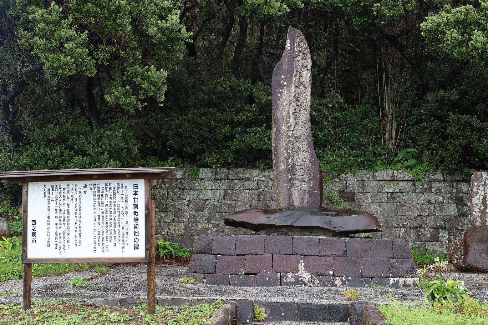 甘藷栽培初地の碑