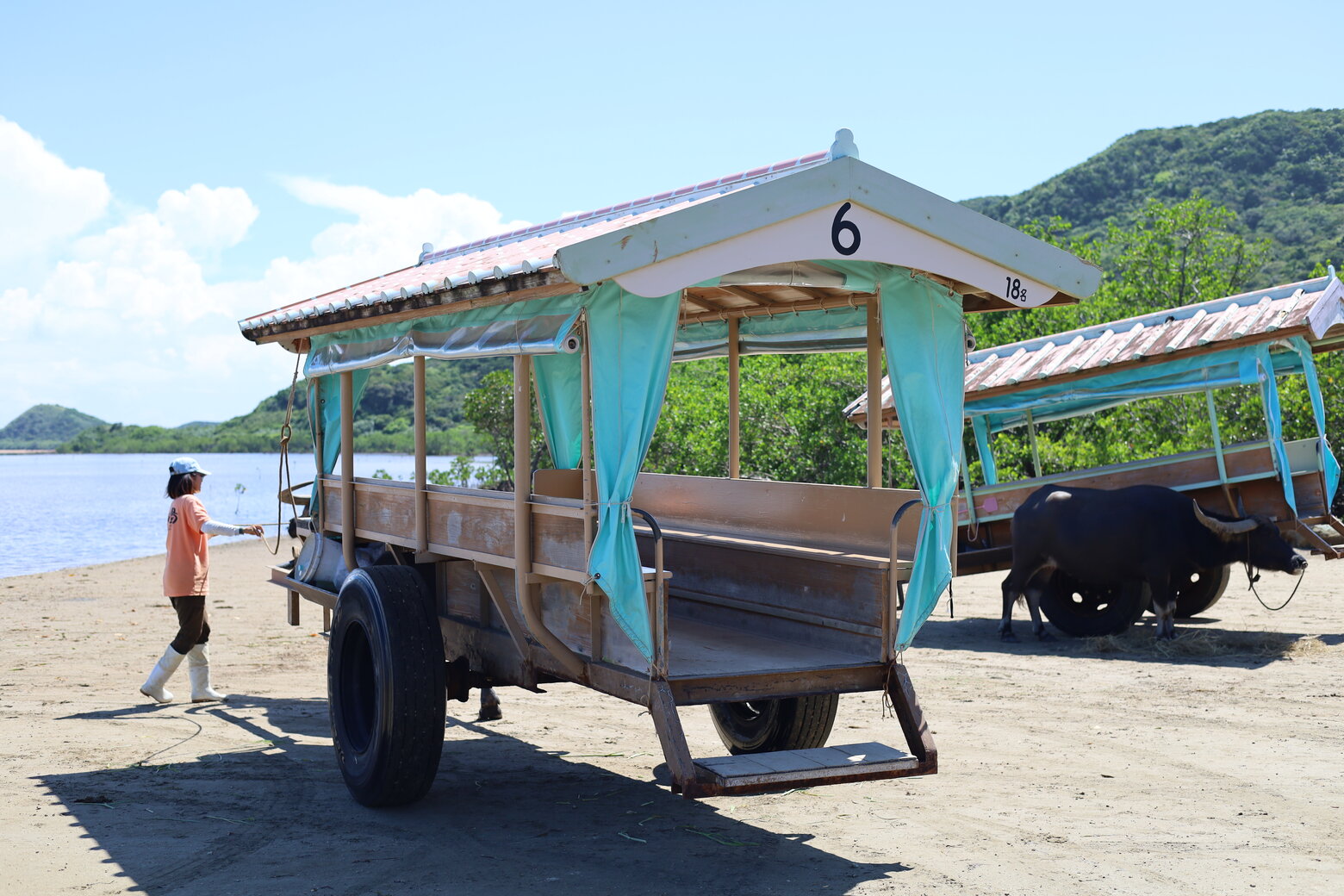 水牛車