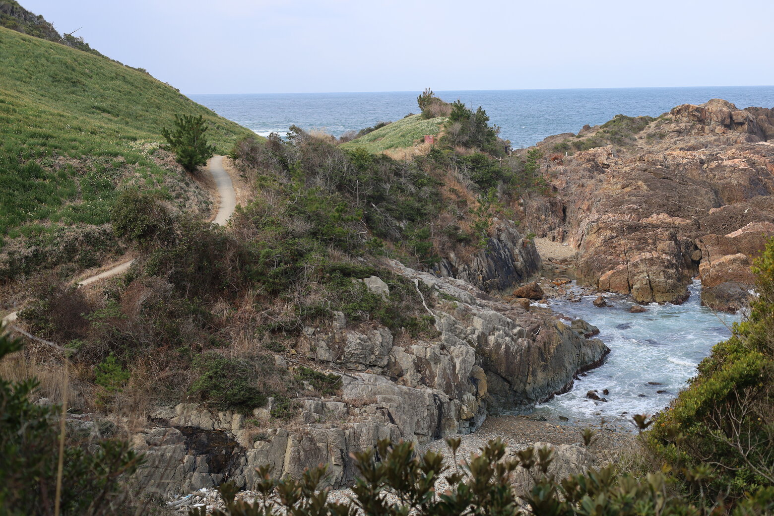 唐音水仙公園