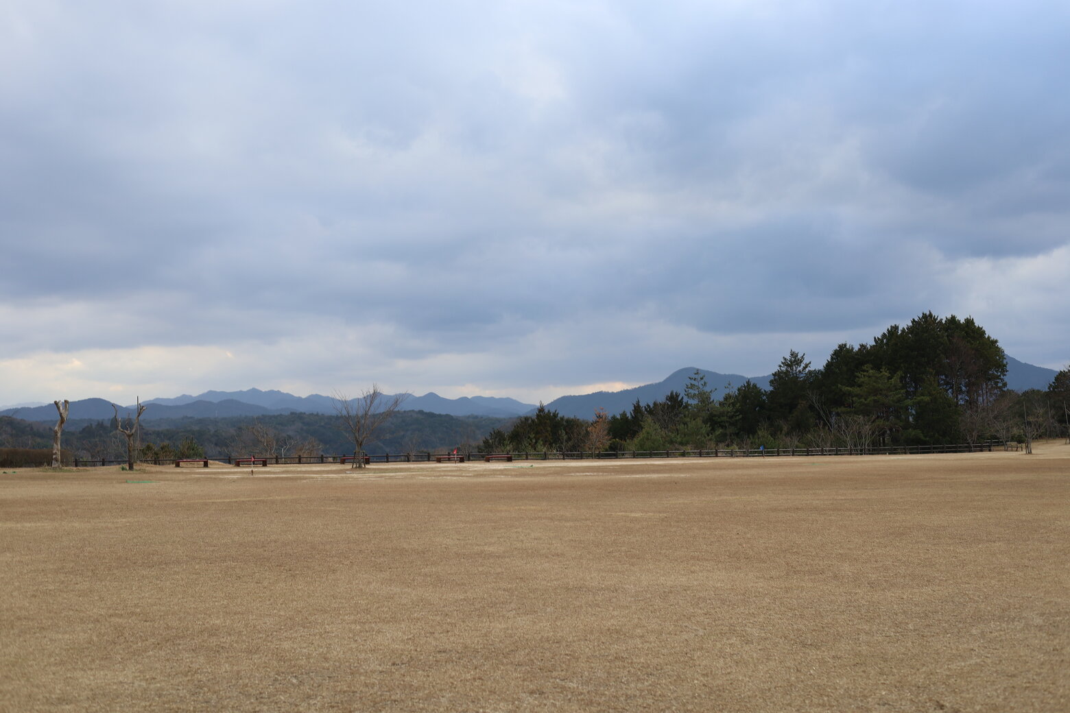 県立万葉公園