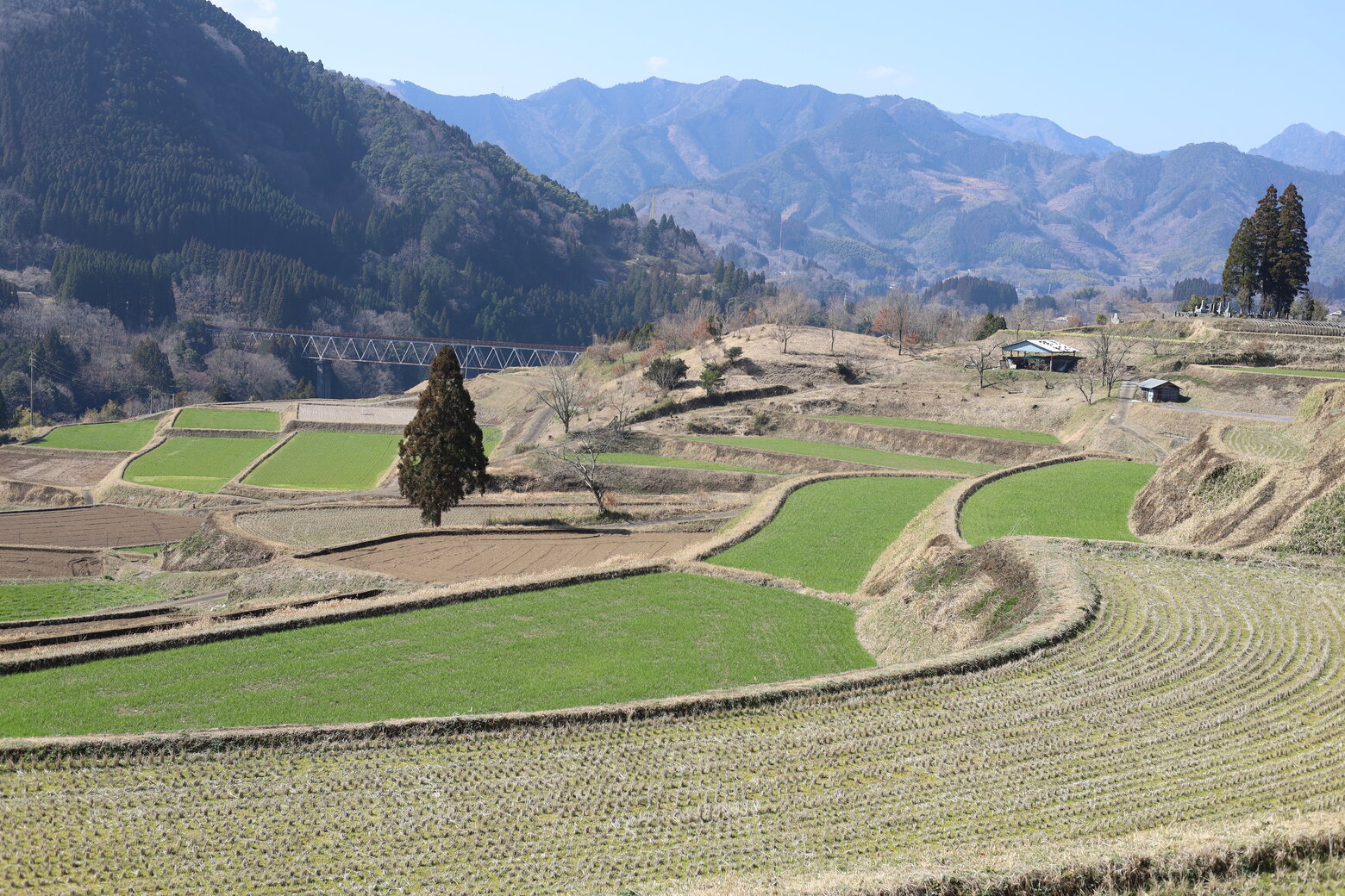 栃又棚田