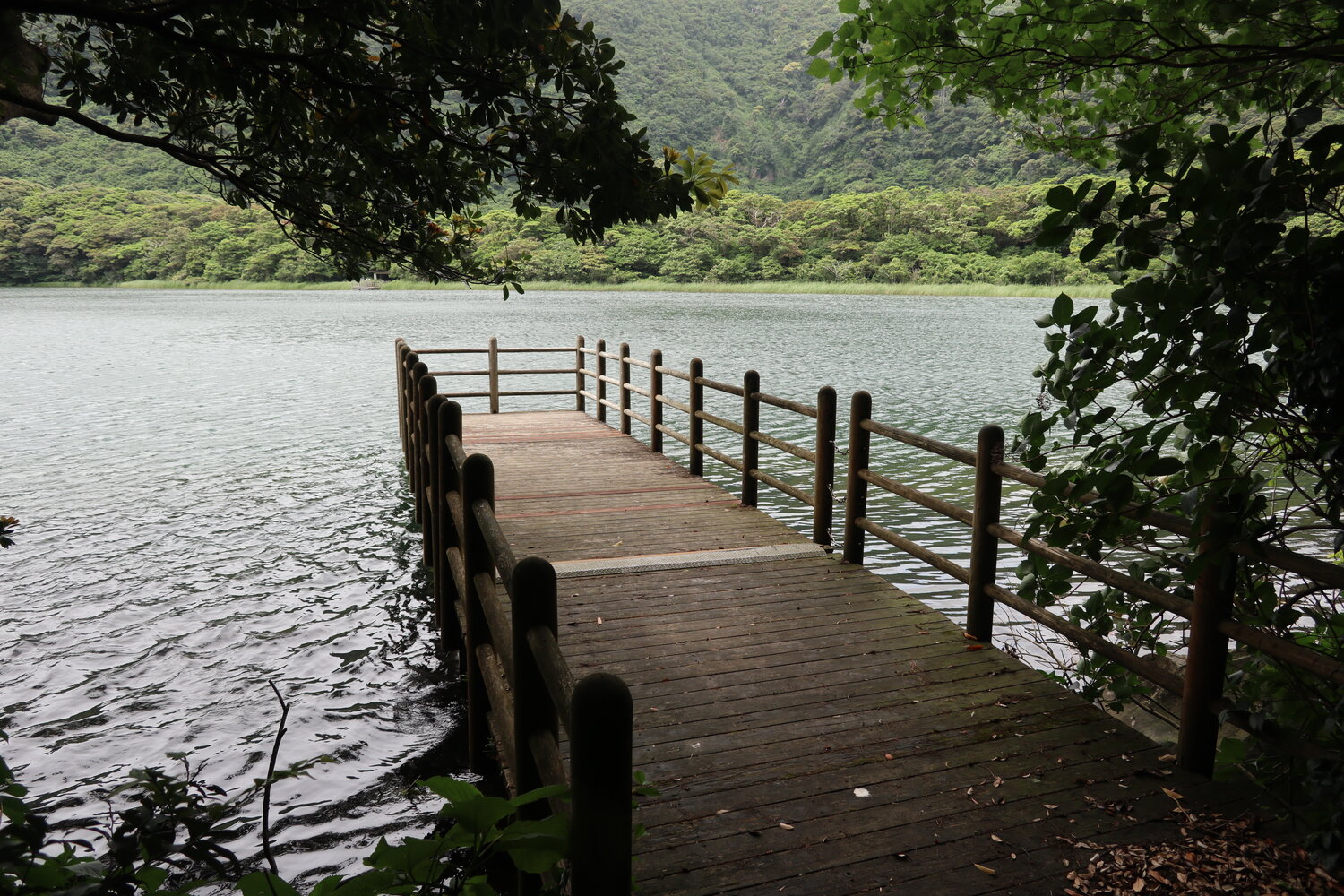 大路池