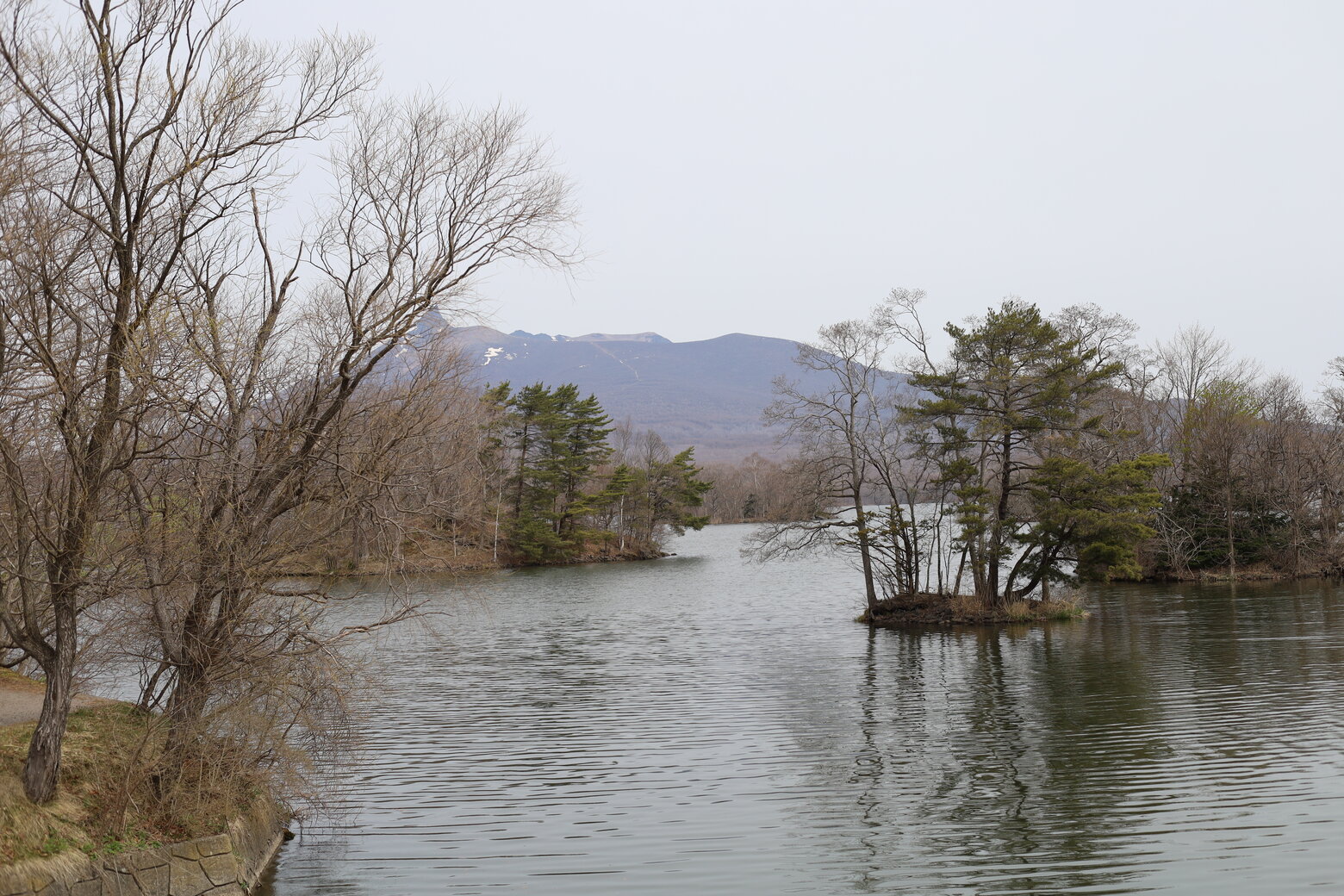 大沼公園