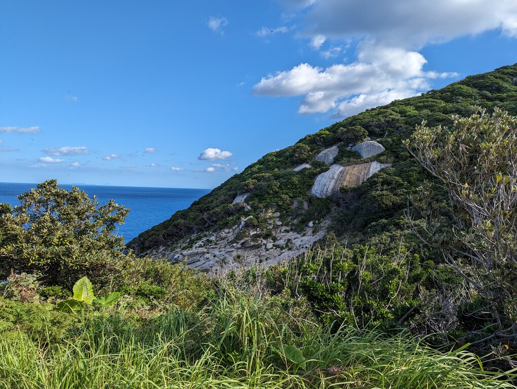 屋久島灯台への道から